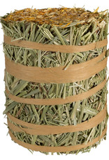 CENTRAL - KAYTEE PRODUCTS KAYTEE- FIELD+ FOREST- MINI HAY BALES- 8X4X4- MARIGOLD- 3.5 OZ