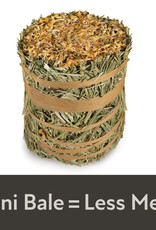 CENTRAL - KAYTEE PRODUCTS KAYTEE- FIELD+ FOREST- MINI HAY BALES- 8X4X4- MARIGOLD- 3.5 OZ