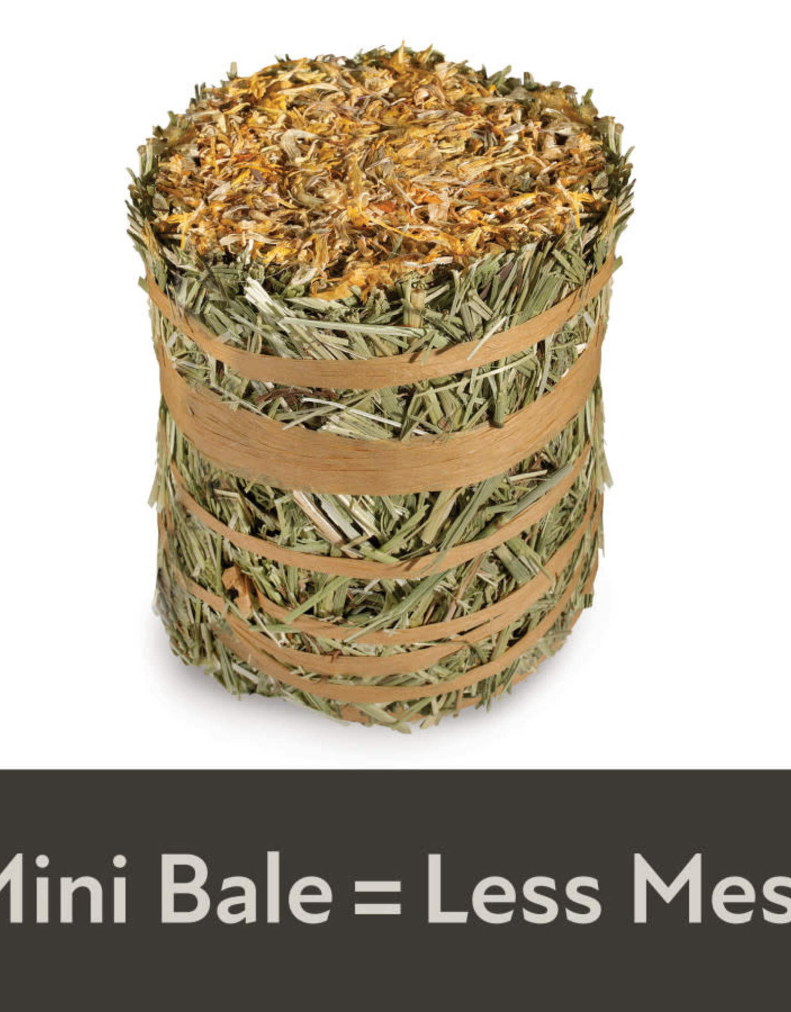 CENTRAL - KAYTEE PRODUCTS KAYTEE- FIELD+ FOREST- MINI HAY BALES- 8X4X4- MARIGOLD- 3.5 OZ