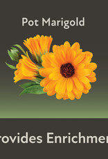 CENTRAL - KAYTEE PRODUCTS KAYTEE- FIELD+ FOREST- MINI HAY BALES- 8X4X4- MARIGOLD- 3.5 OZ