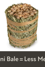 CENTRAL - KAYTEE PRODUCTS KAYTEE- FIELD+ FOREST- MINI HAY BALES- 8X4X4- APPLE- 3.5 OZ