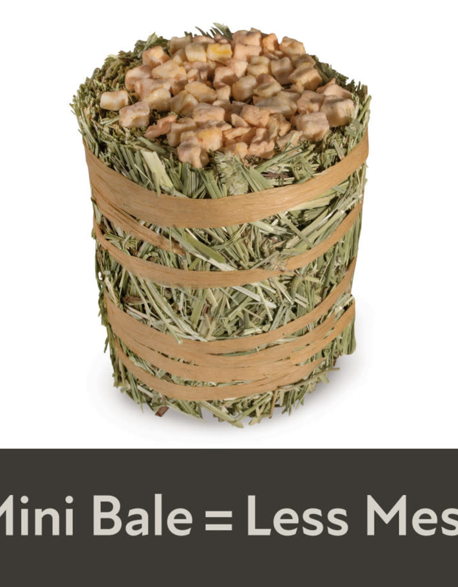 CENTRAL - KAYTEE PRODUCTS KAYTEE- FIELD+ FOREST- MINI HAY BALES- 8X4X4- APPLE- 3.5 OZ