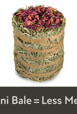 CENTRAL - KAYTEE PRODUCTS KAYTEE- FIELD+ FOREST- MINI HAY BALES- ROSE- 8X4X4- - 3.5 OZ