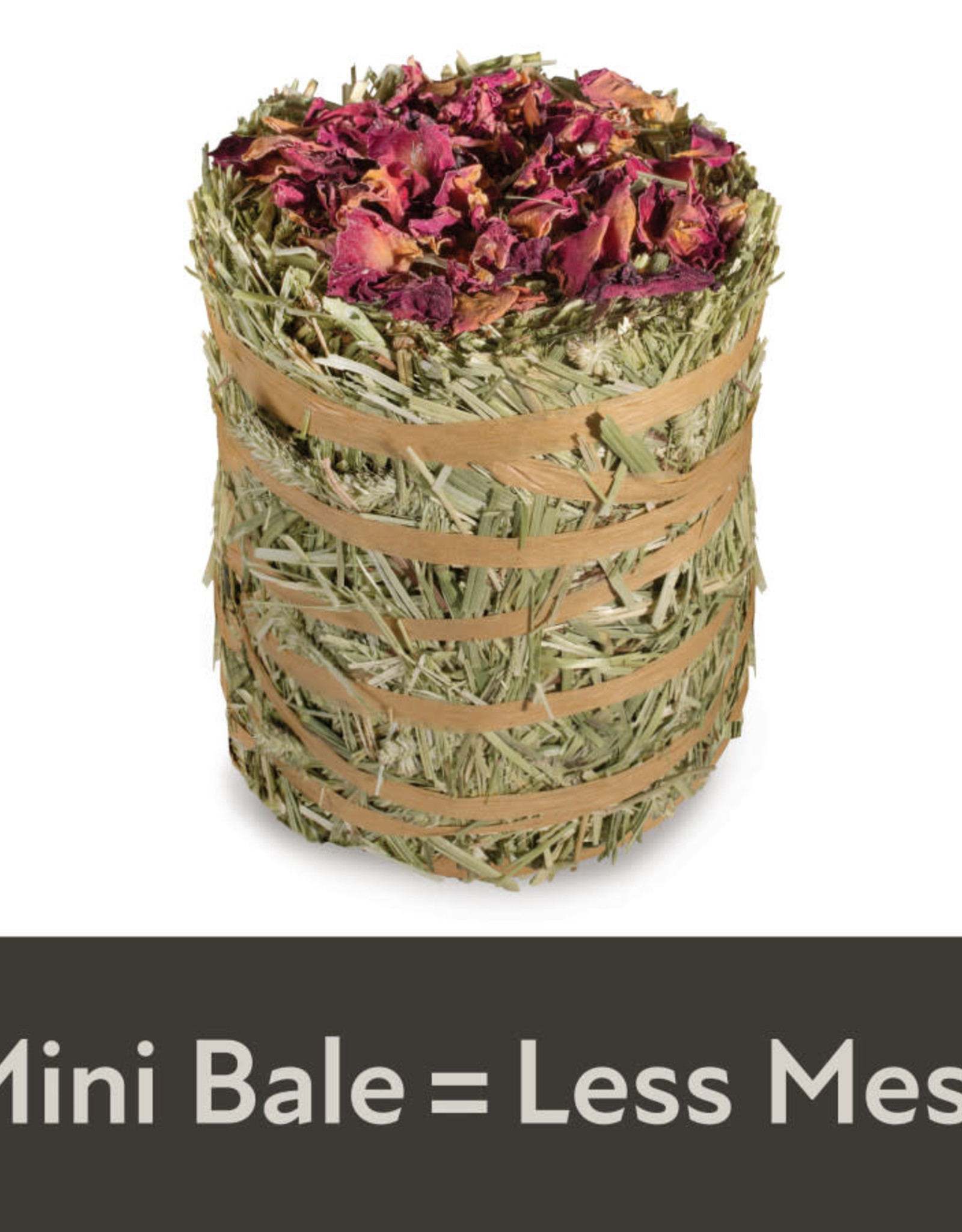 CENTRAL - KAYTEE PRODUCTS KAYTEE- FIELD+ FOREST- MINI HAY BALES- ROSE- 8X4X4- - 3.5 OZ