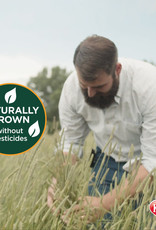 CENTRAL - KAYTEE PRODUCTS KAYTEE- NATURAL- 16X13X10- TIMOTHY HAY 96 OZ