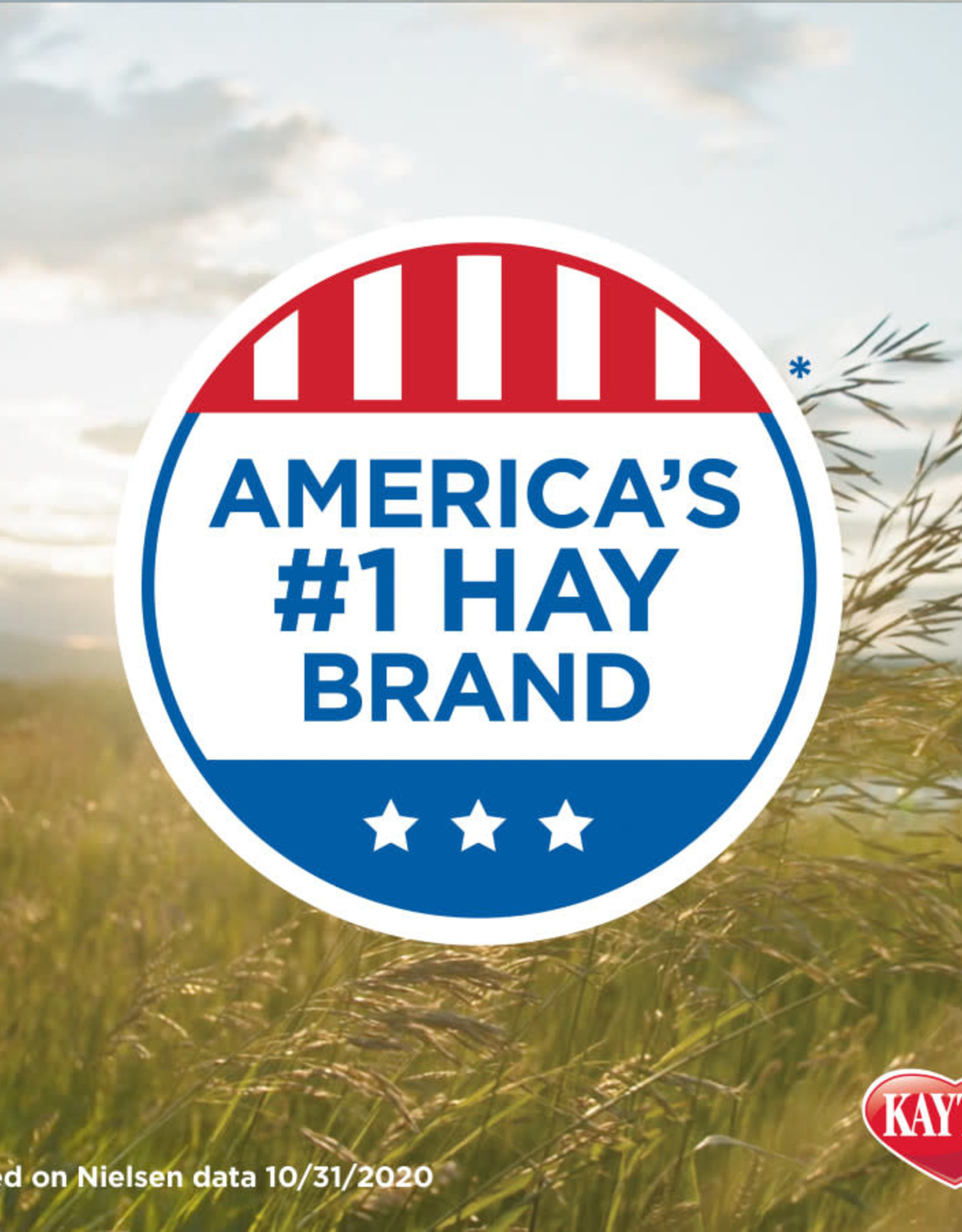 CENTRAL - KAYTEE PRODUCTS KAYTEE- NATURAL- 16X13X10- TIMOTHY HAY 96 OZ