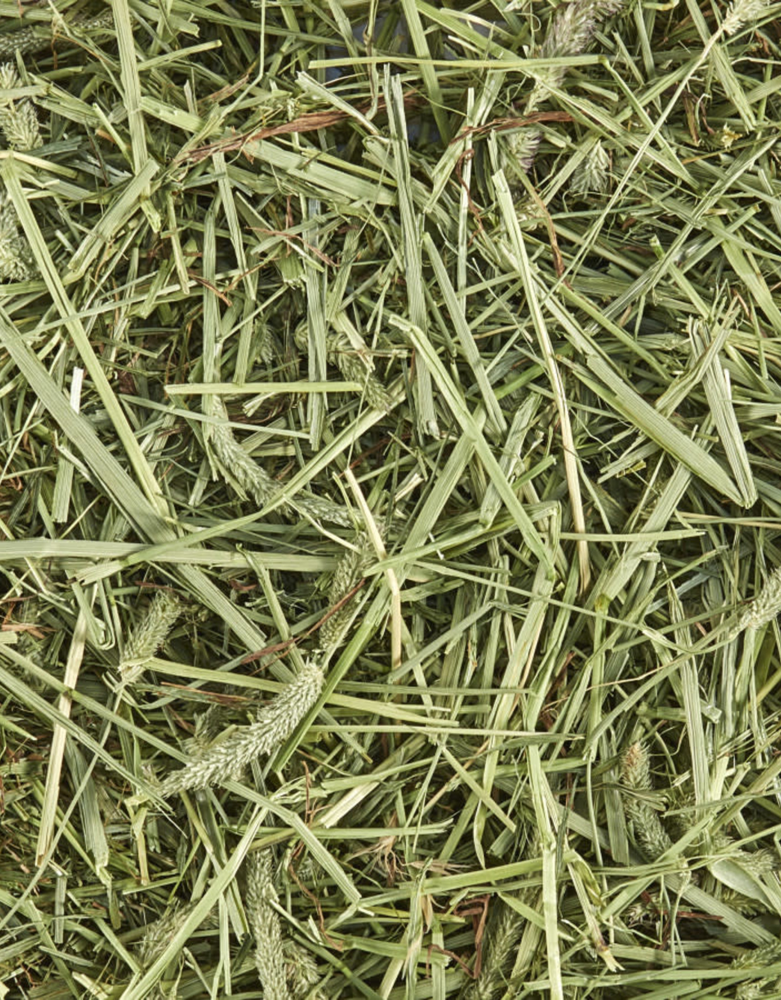 CENTRAL - KAYTEE PRODUCTS KAYTEE- NATURAL- 16X13X10- TIMOTHY HAY 96 OZ