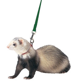 MARSHALL PET PRODUCTS MARSHALL- FERRET- 11X2X.5-  HARNESS AND LEASH