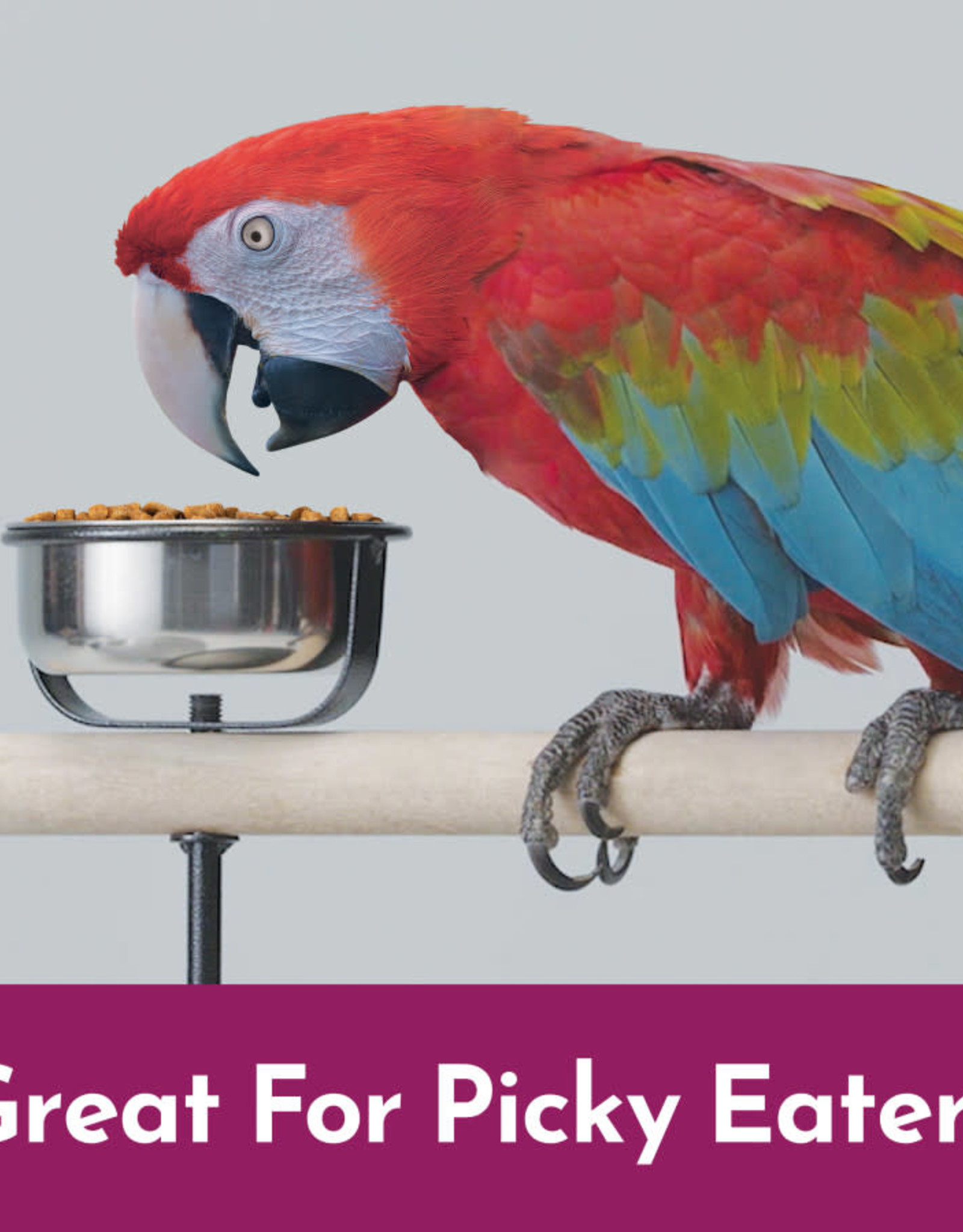 CENTRAL - KAYTEE PRODUCTS KAYTEE- NUTRISOFT-  MACAW/COCKATOO- 3 LB