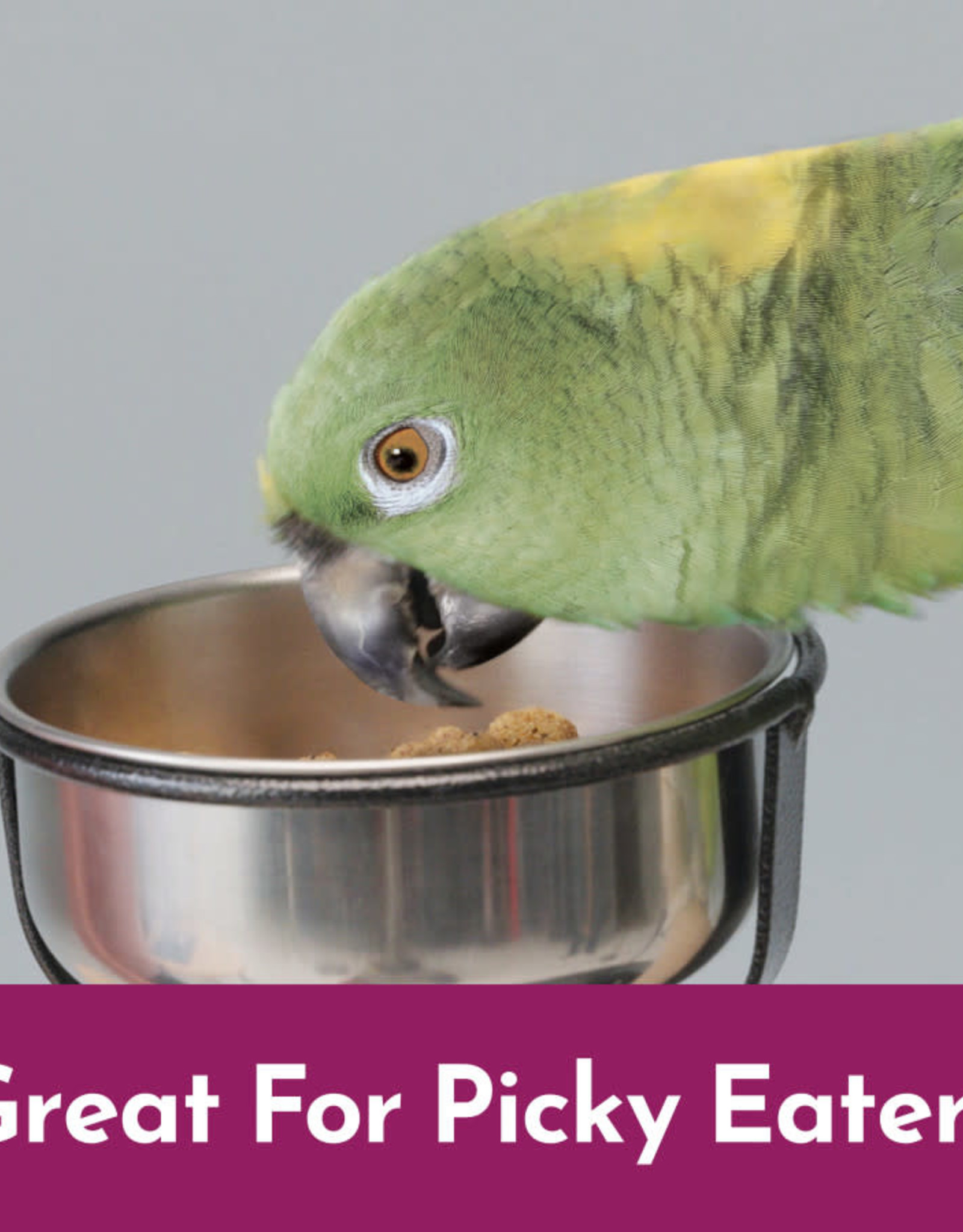 CENTRAL - KAYTEE PRODUCTS KAYTEE- NUTRISOFT- PARROT/CONURE- 3 LB