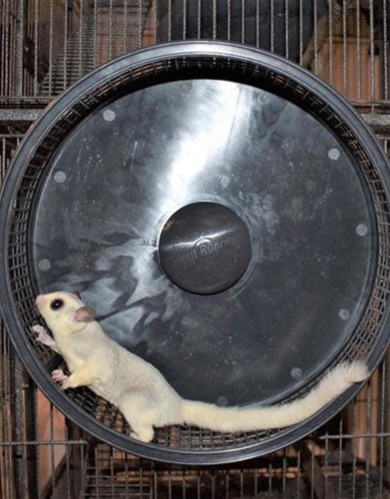 EXOTIC NUTRITION EN5983-BK-CA- SILENT RUNNER- PRO WHEEL- 12X12X3.5- WITH CAGE ATTACHMENT- BLACK