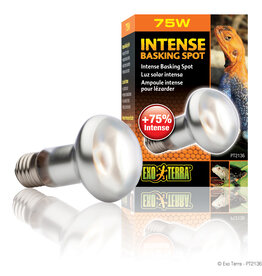 EXO TERRA PT2136- BASKING SPOT- LAMP/BULB- 4X4X6- 75W- INTENSE