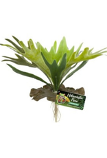 ZOO MED LABORATORIES, INC. ZOO MED- BU-65- NATURALISTIC FLORA- TERRARIUM PLANT- STAGHORN FERN- 13X6X3