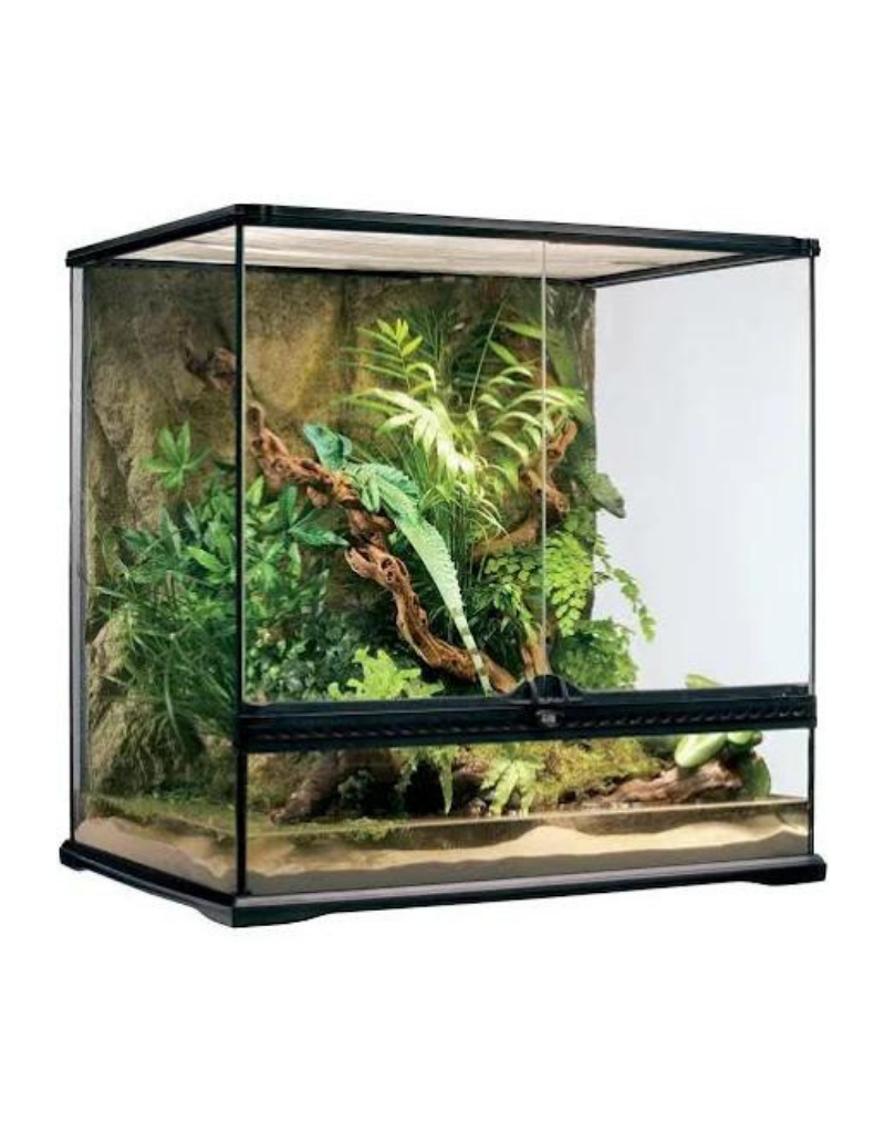 EXO TERRA PT2612 GLASS TERRARIUM 24X18X24 Rhonda's Aviary