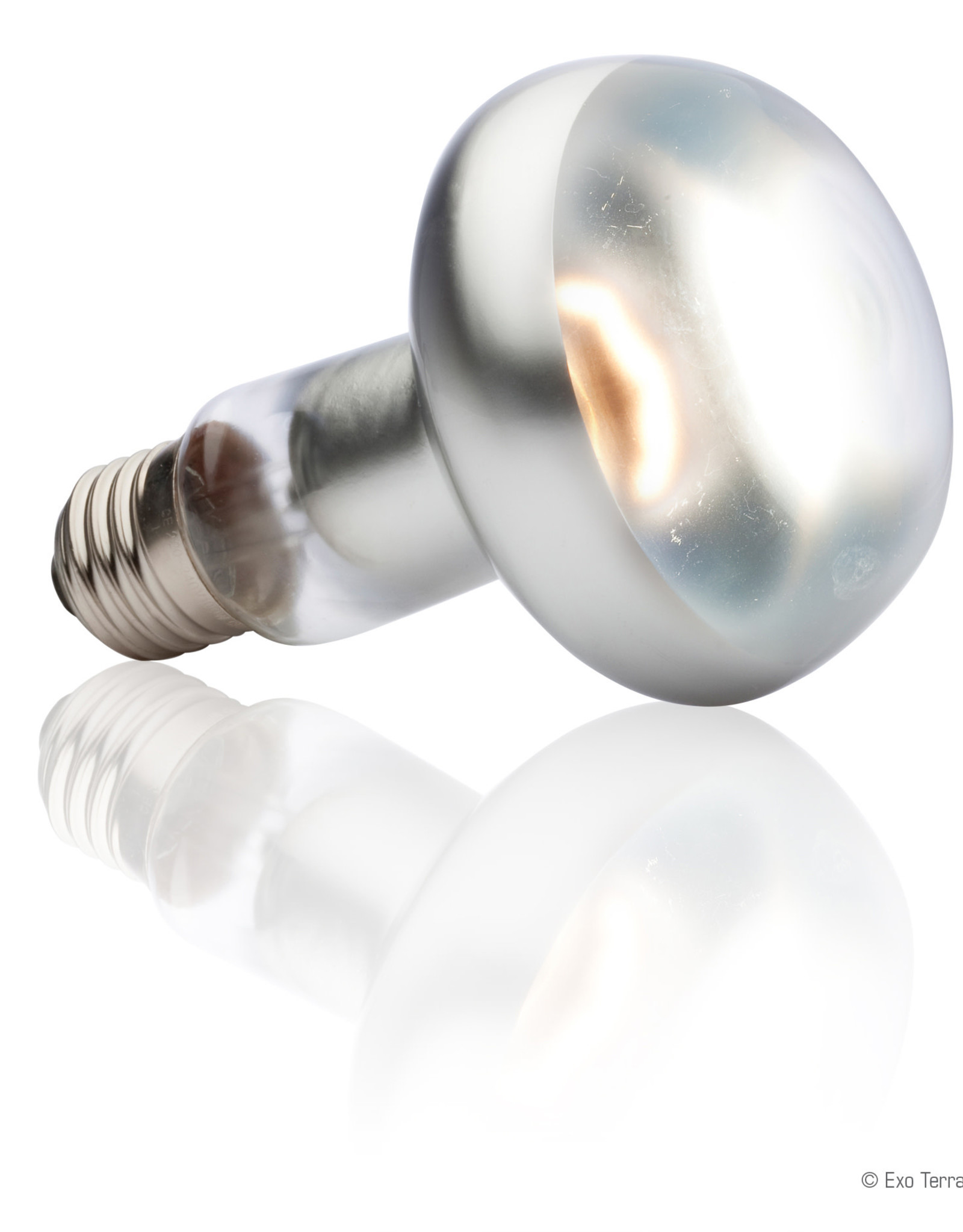 EXO TERRA PT2138- BASKING SPOT- LAMP/BULB- 4X4X6- 100W- INTENSE