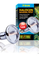 EXO TERRA PT2182- HALOGEN- BASKING SPOT- BROAD-SPECTRUM DAYLIGHT- 4X4X6- 75W