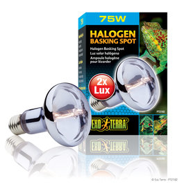 EXO TERRA PT2182- HALOGEN- BASKING SPOT- BROAD-SPECTRUM DAYLIGHT- 4X4X6- 75W