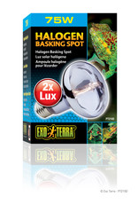 EXO TERRA PT2182- HALOGEN- BASKING SPOT- BROAD-SPECTRUM DAYLIGHT- 4X4X6- 75W