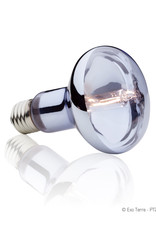 EXO TERRA PT2182- HALOGEN- BASKING SPOT- BROAD-SPECTRUM DAYLIGHT- 4X4X6- 75W