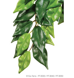 EXO TERRA EXO TERRA- PT3030- TERRARIUM- JUNGLE PLANT- SILK- 13X6X3- FICUS- SMALL