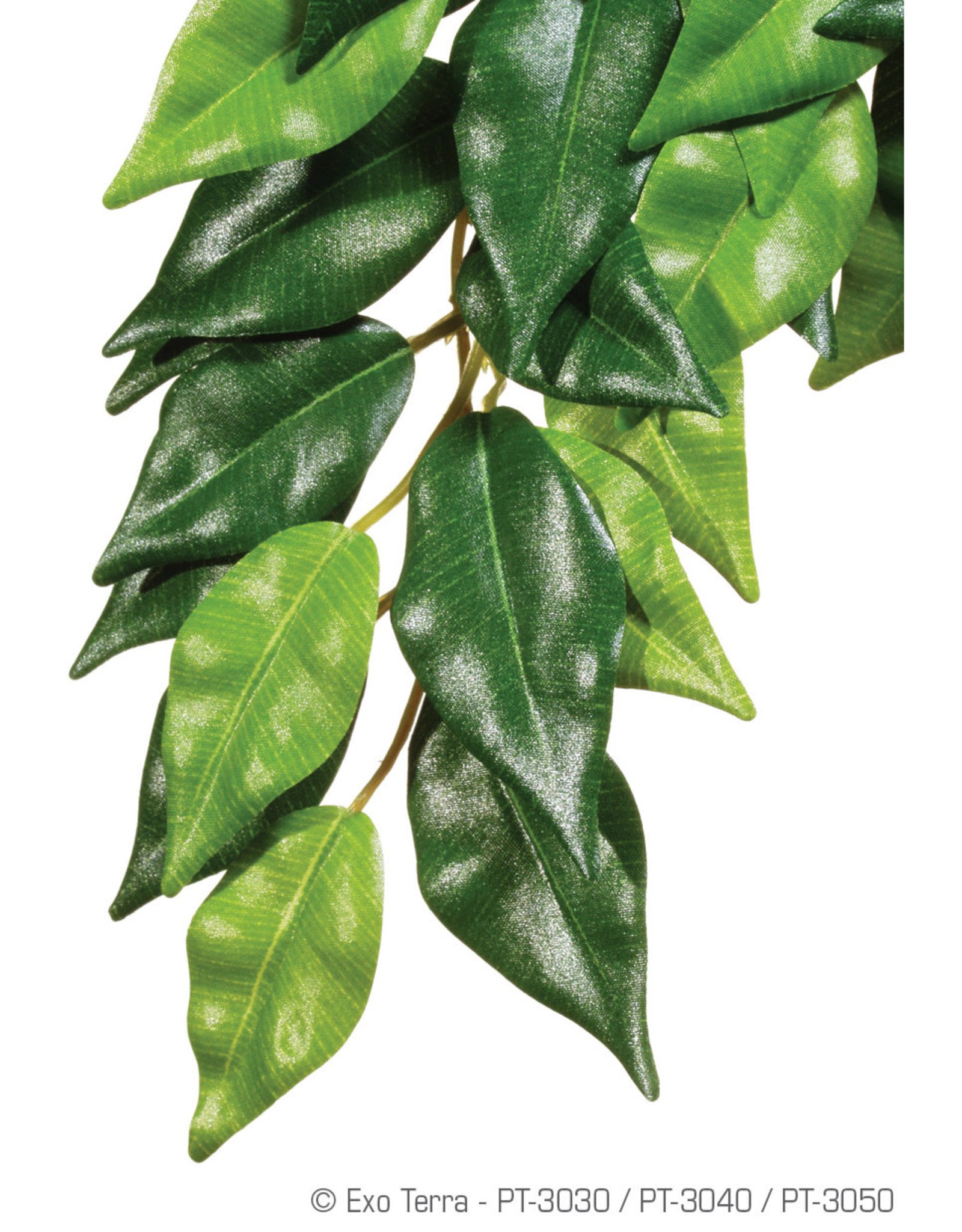 EXO TERRA EXO TERRA- PT3040- TERRARIUM- JUNGLE PLANT- SILK- 15X6X3- FICUS- MEDIUM