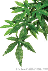 EXO TERRA EXO TERRA- PT3052- TERRARIUM- JUNGLE PLANT- SILK- 19X6X3- ABUTILON- LARGE