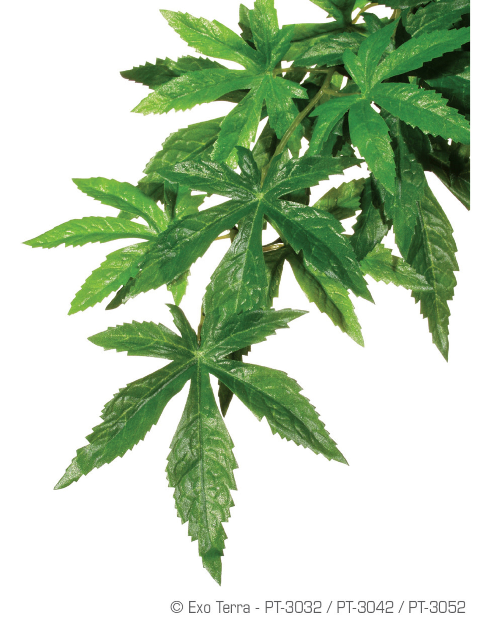 EXO TERRA EXO TERRA- PT3052- TERRARIUM- JUNGLE PLANT- SILK- 19X6X3- ABUTILON- LARGE