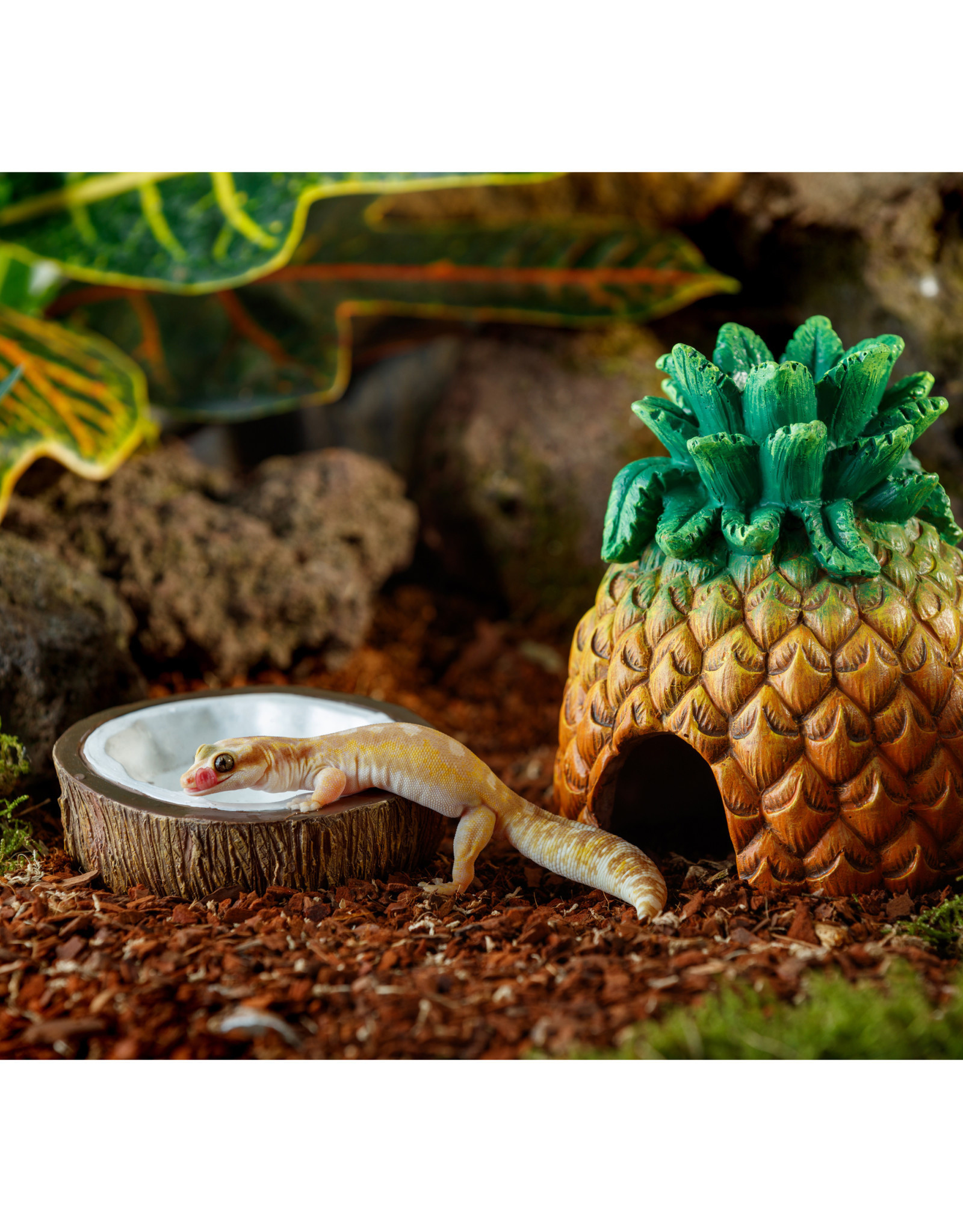 Exo Terra Coconut Water Dish Exo Terra Coconut Water Dish