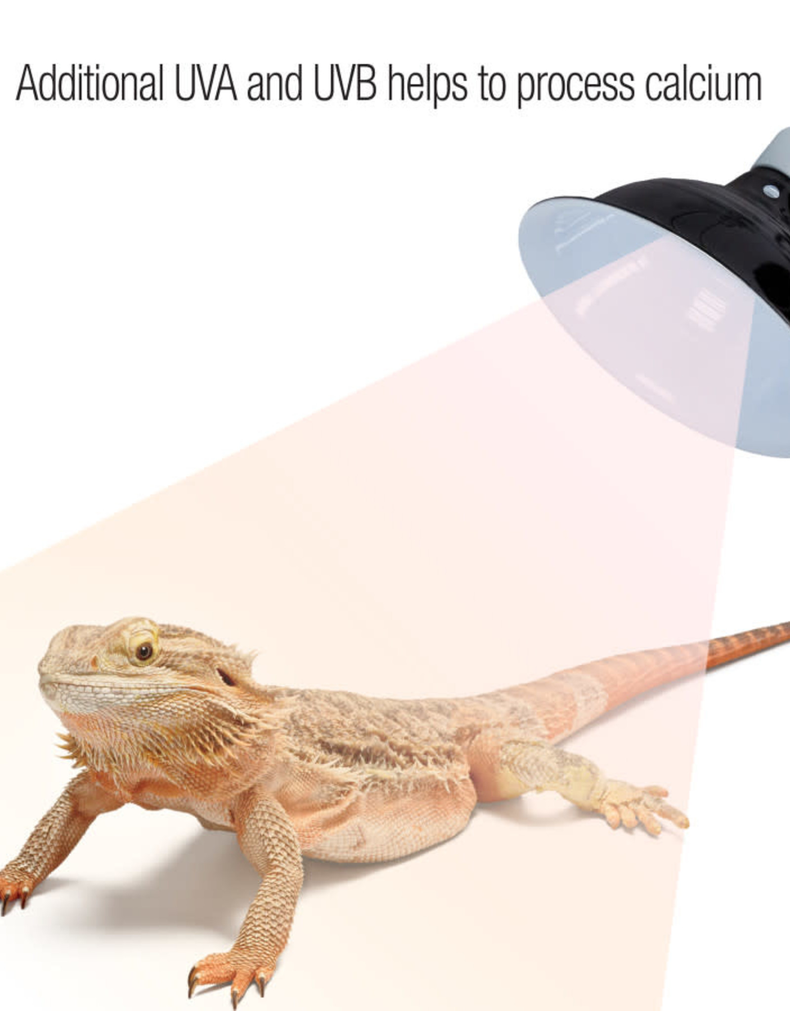 ZILLA PET PRODUCTS ZILLA- REPTILE- CALCIUM SPRAY- 2X2X7- 8 OZ