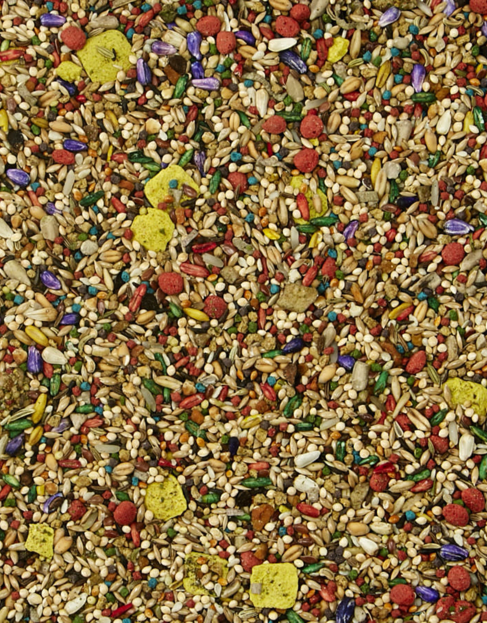 CENTRAL - KAYTEE PRODUCTS KAYTEE- FIESTA- BIRD FOOD- 14X16X8- PARAKEET- 4.5 LB