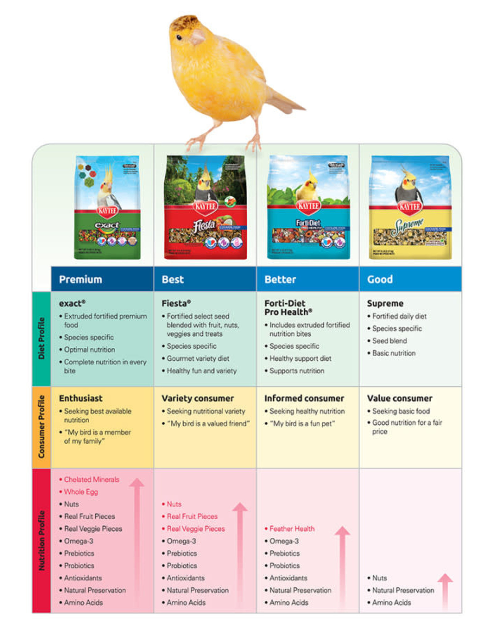 CENTRAL - KAYTEE PRODUCTS KAYTEE- FIESTA- BIRD FOOD- 14X16X8- CONURE- 4.5 LB