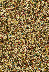 CENTRAL - KAYTEE PRODUCTS KAYTEE- FIESTA- BIRD FOOD- 14X16X8- CANARY/FINCH- 2 LB