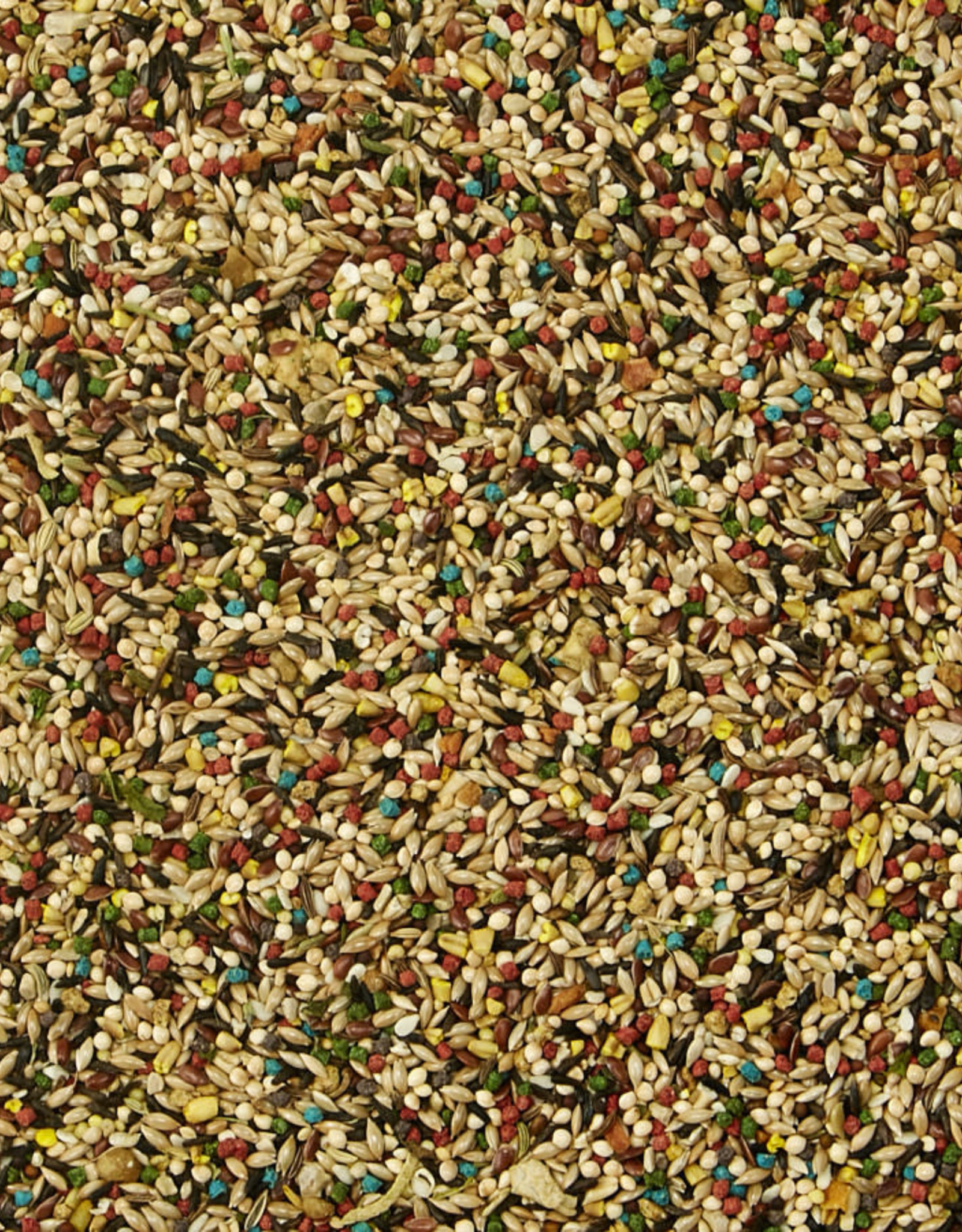 CENTRAL - KAYTEE PRODUCTS KAYTEE- FIESTA- BIRD FOOD- 14X16X8- CANARY/FINCH- 2 LB