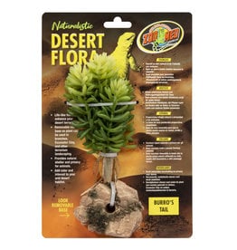 ZOO MED LABORATORIES, INC. ZOO MED- BU-75- PLANT- 10X6X3- DESERT FLORA- BURRO'S TAIL