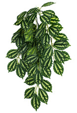 KOMODO KOMODO- PLANT- HANGING- 16X10X4- SILK- TWO-TONED LEAF- 16 INCH