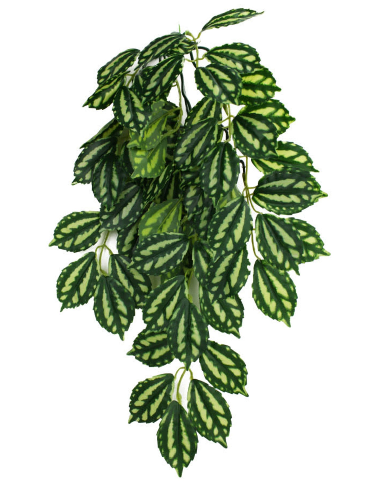 KOMODO KOMODO- PLANT- HANGING- 16X10X4- SILK- TWO-TONED LEAF- 16 INCH