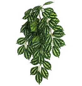 KOMODO KOMODO- PLANT- HANGING- 16X10X4- SILK- TWO-TONED LEAF- 16 INCH