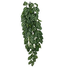 KOMODO KOMODO- PLANT- HANGING- 26X10X4- SILK- TWO-TONED LEAF- 26 INCH