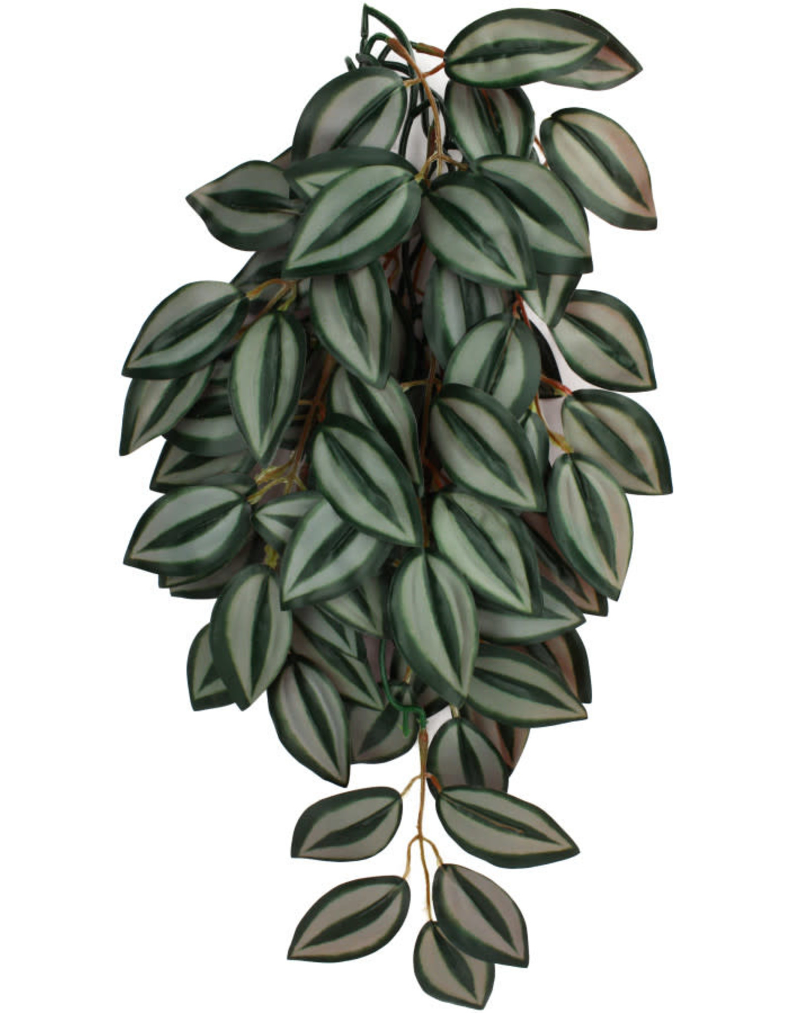 KOMODO KOMODO- PLANT- HANGING- 16X10X4- SILK- ZEBRINA- 16 INCH