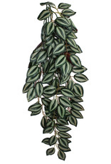 KOMODO KOMODO- PLANT- HANGING- 26X10X4- SILK- ZEBRINA- 26 INCH