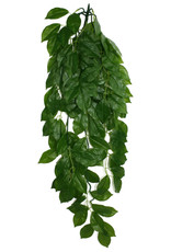 KOMODO KOMODO- PLANT- HANGING- 26X10X4- SILK- GREEN LEAF- 26 INCH