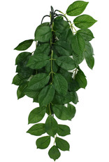 KOMODO KOMODO- PLANT- HANGING- 16X10X4- SILK- GREEN LEAF- 16 INCH