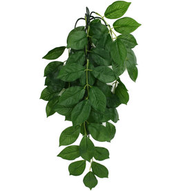 KOMODO KOMODO- PLANT- HANGING- 16X10X4- SILK- GREEN LEAF- 16 INCH