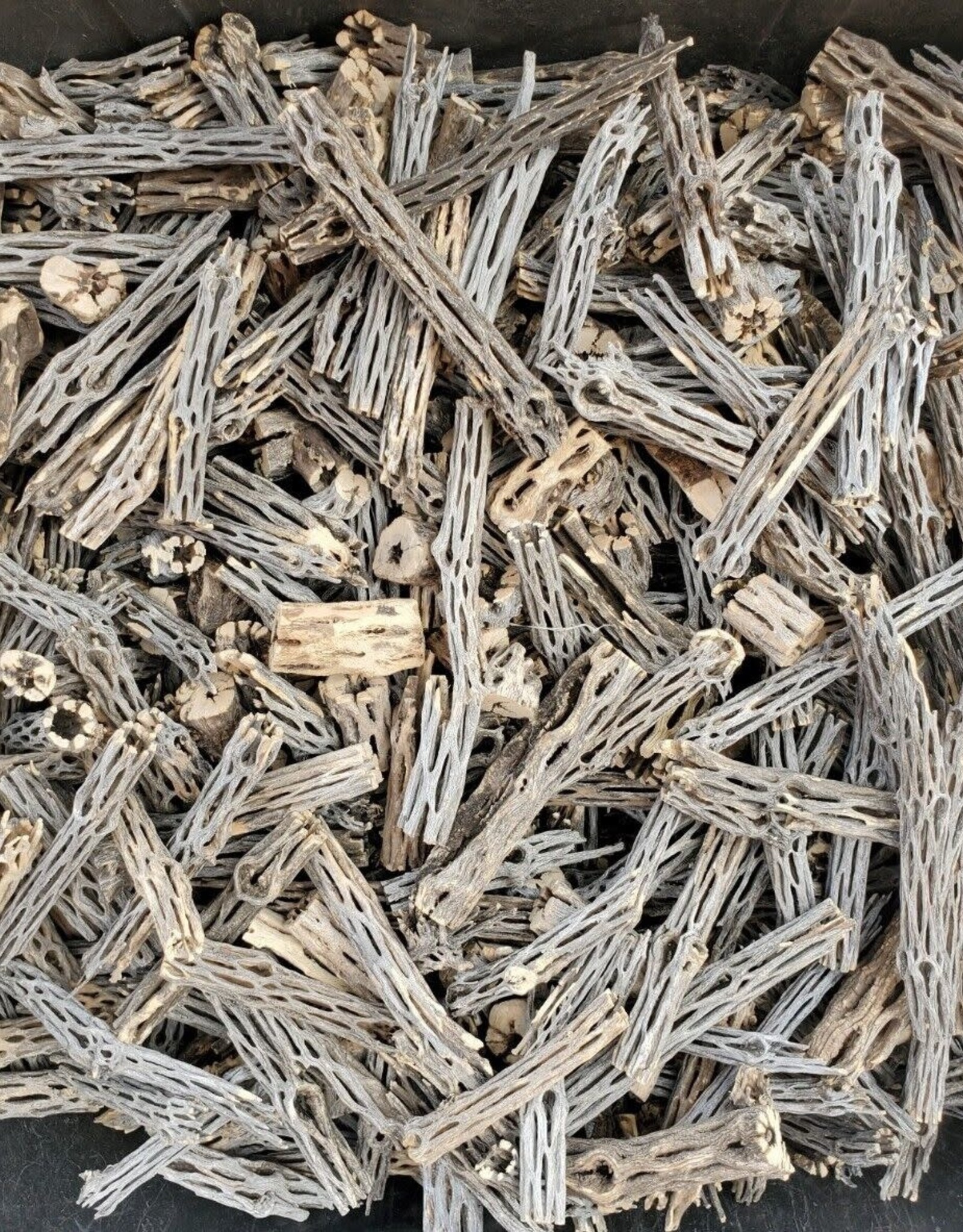 DECOR- CHOLLA WOOD- PIECES- PER LB