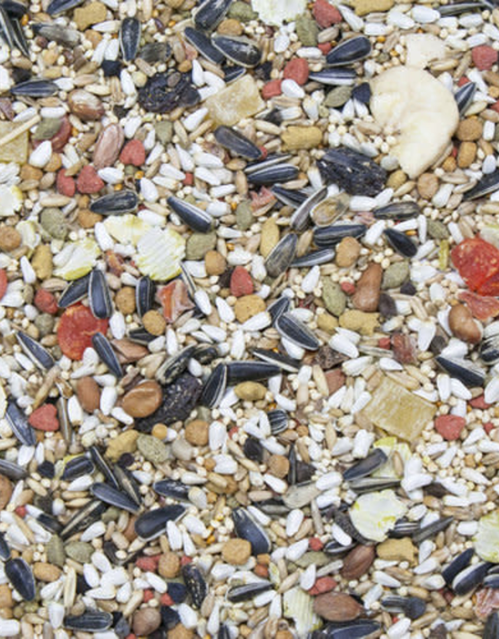 HIGGINS PREMIUM PET FOODS BIN #115- HIGGINS- VITA SEED- 18X5X34- CONURE/LOVEBIRD- 25 LB