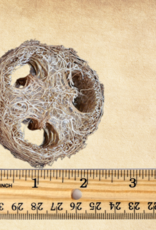 TOY MAKING- SLICE- LOOFA- 1.5X2.5X2.5- EACH