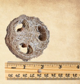 TOY MAKING- SLICE- LOOFA- 1.5X2.5X2.5- EACH