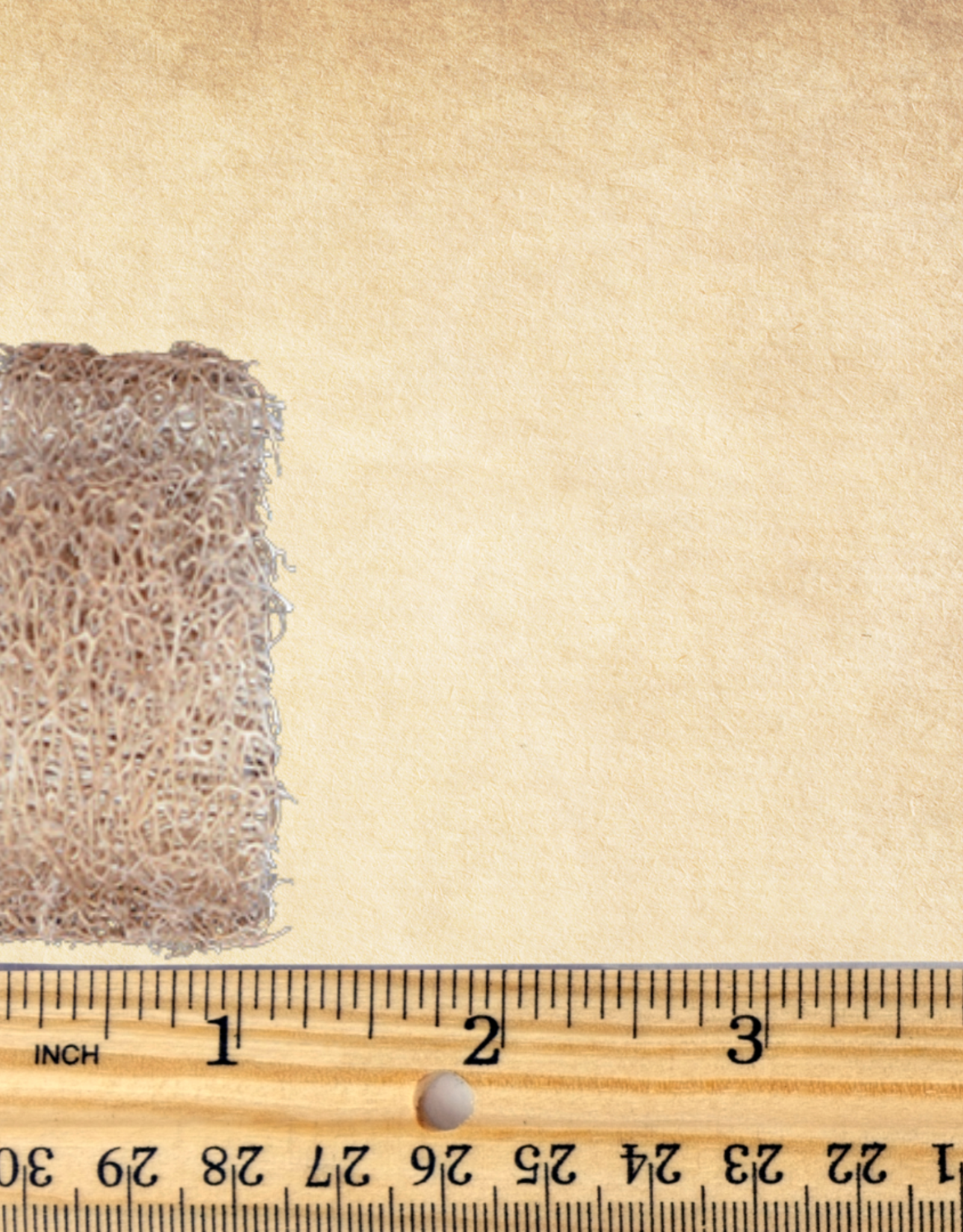 TOY MAKING- SLICE- LOOFA- 1.5X2.5X2.5- EACH