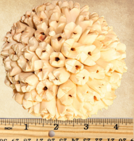 TOY MAKING- SOLA- CANSTICK BALL - 3.5X3.5X3.5 (8CM)