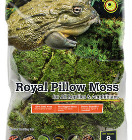 GALAPAGOS GALAPAGOS- ROYAL PILLOW MOSS- 8 QUARTS